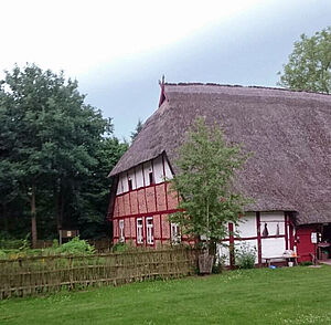 Auf einer Wiese steht ein zweigeschossiges Bauernhaus mit Reetdach.