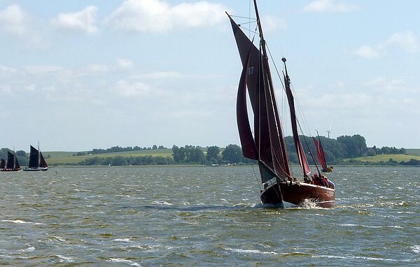 Zeesboot Ein altes Zeesboot fährt auf dem Wasser.