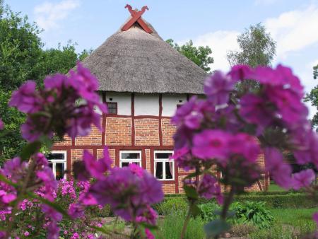 Ein restgedecktes Bauernhaus. Es wird halb verdeckt von lila Blumen. 